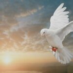 descubriendo-al-espiritu-santo-1280x720-1