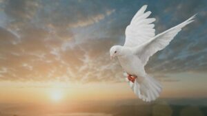 descubriendo-al-espiritu-santo-1280x720-1